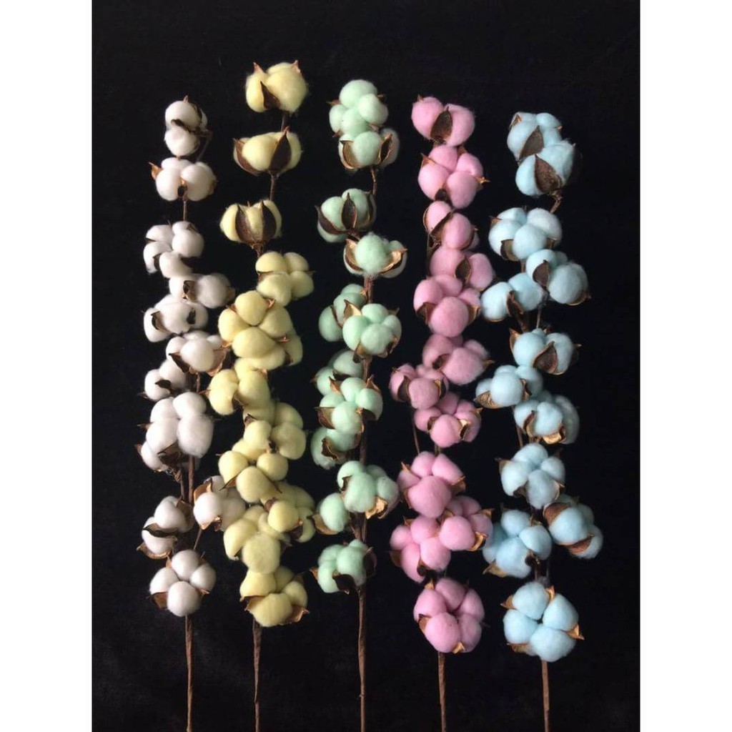 台灣現貨【棉花花材】白色彩色棉花素材 花圈藤圈花束點綴 插瓶佈置 花藝材料