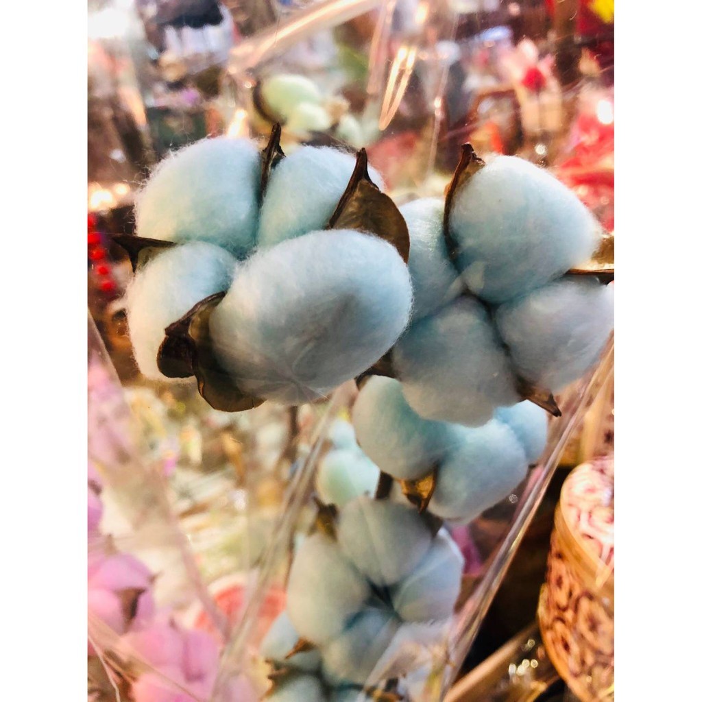 台灣現貨【棉花花材】白色彩色棉花素材 花圈藤圈花束點綴 插瓶佈置 花藝材料