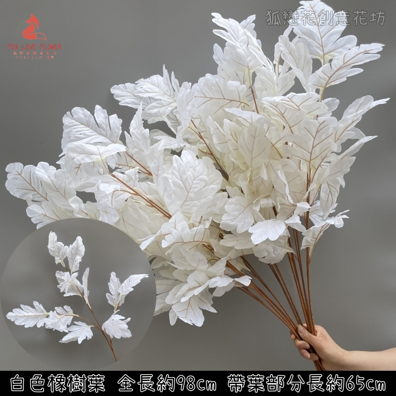 白色橡樹葉/貝殼葉