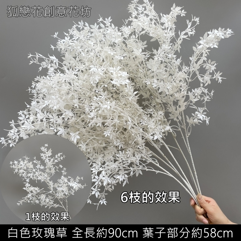 白色玫瑰草