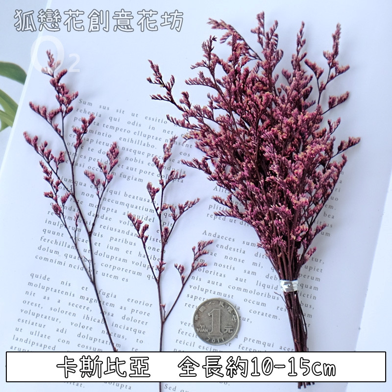 ❰桃紫❱短束卡斯比亞(1份)