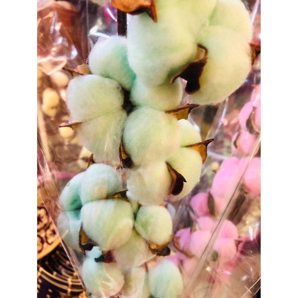 台灣現貨【棉花花材】白色彩色棉花素材 花圈藤圈花束點綴 插瓶佈置 花藝材料