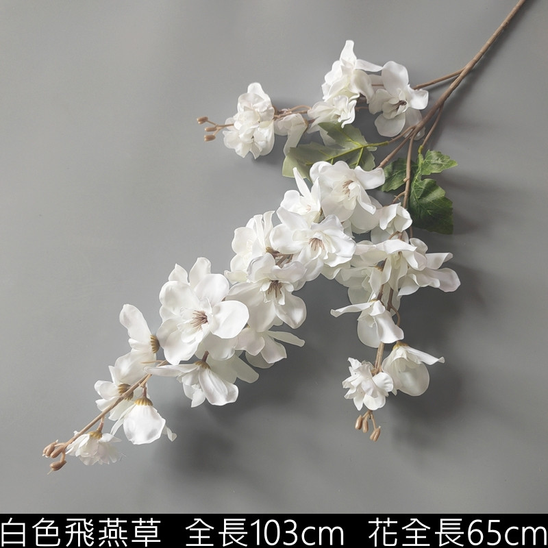 白色3叉飛燕草/情人塔