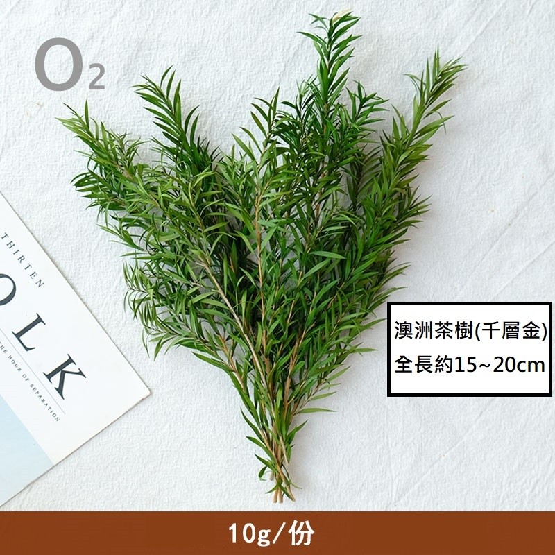 ❰綠色❱澳洲茶樹/千層金(1份)