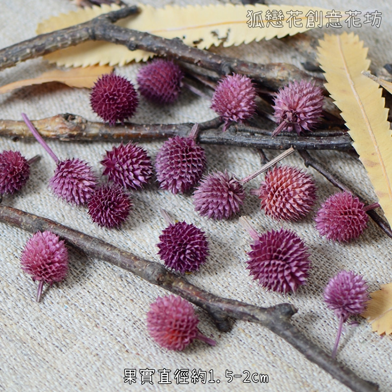 ❰紫色❱草莓果(10個),數量請以選項為主
