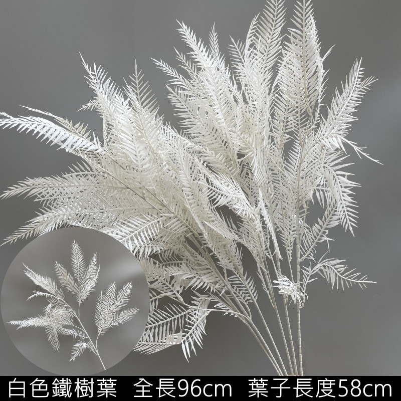 白色鐵樹葉