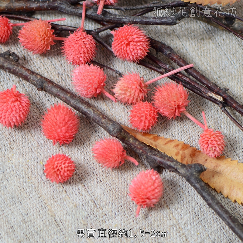 ❰粉色❱草莓果(10個),數量請以選項為主