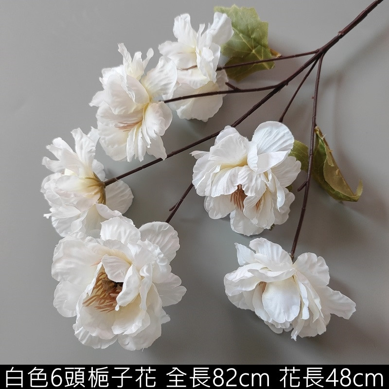 白色梔子花
