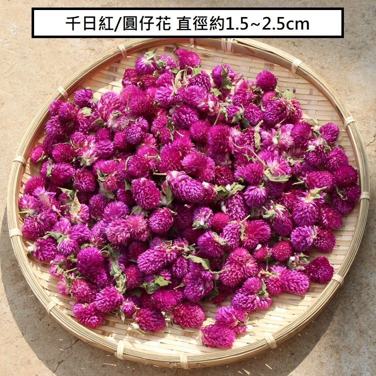 ❰桃紫❱千日紅(20個),數量請以選項為主