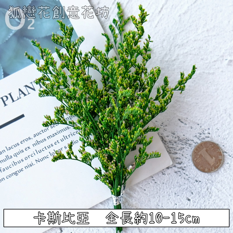 ❰綠色❱短束卡斯比亞(1份)