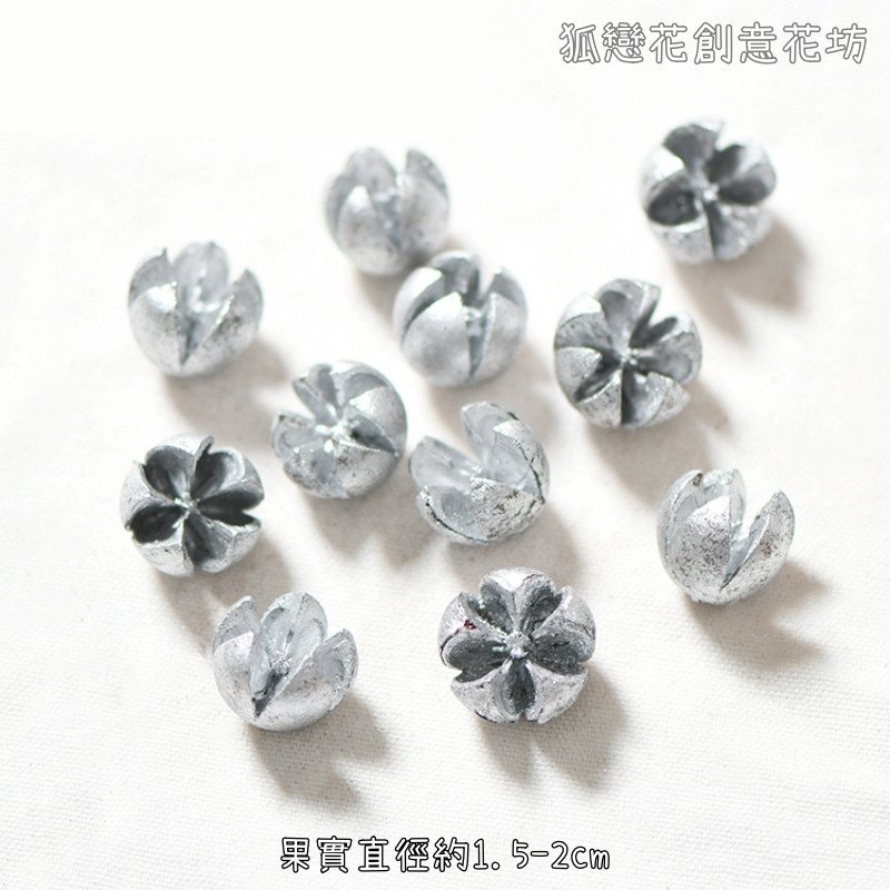 ❰銀色❱小十字果(10個),數量請以選項為主