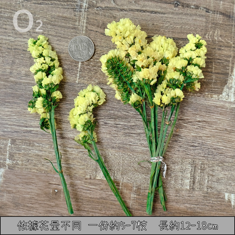 ❰黃色❱永生星辰花(5枝)