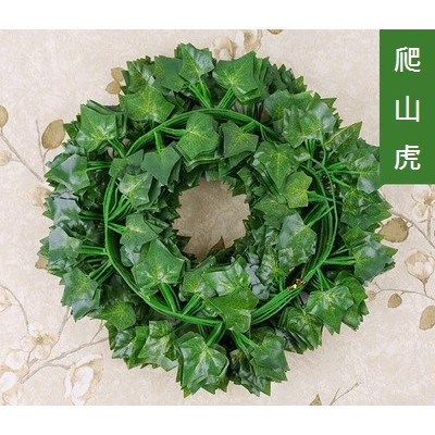 <爬山虎>(買10送2),價格為1條的價格
