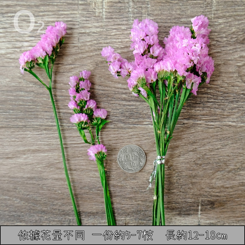❰粉色❱永生星辰花(5枝)