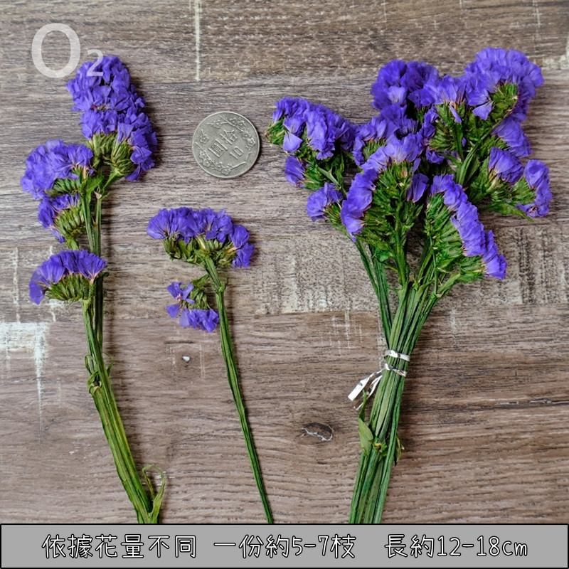 ❰深紫❱永生星辰花(5枝)