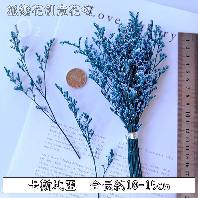 ❰藍色❱短束卡斯比亞(1份)