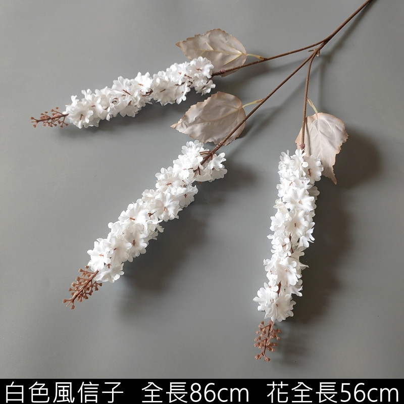 白色風信子