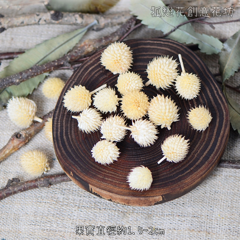 ❰米白❱草莓果(10個),數量請以選項為主