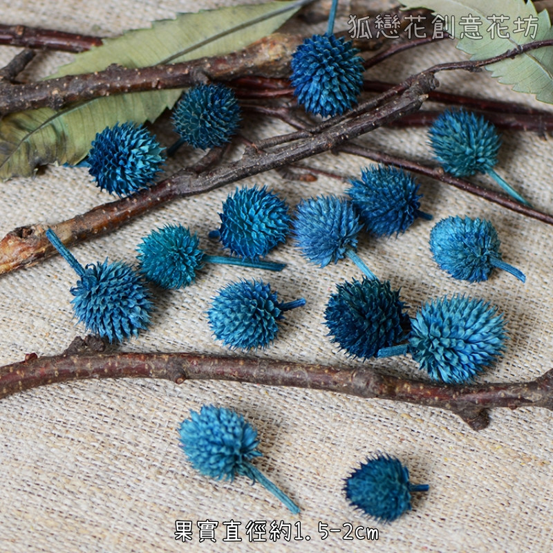 ❰藍色❱草莓果(10個),數量請以選項為主