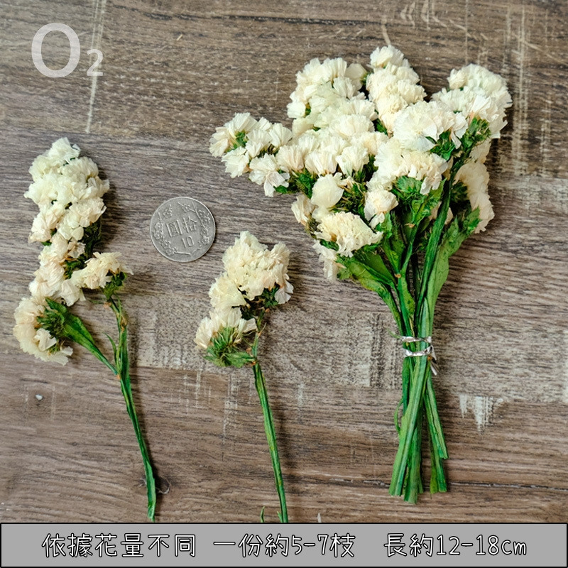 ❰白色❱永生星辰花(5枝)