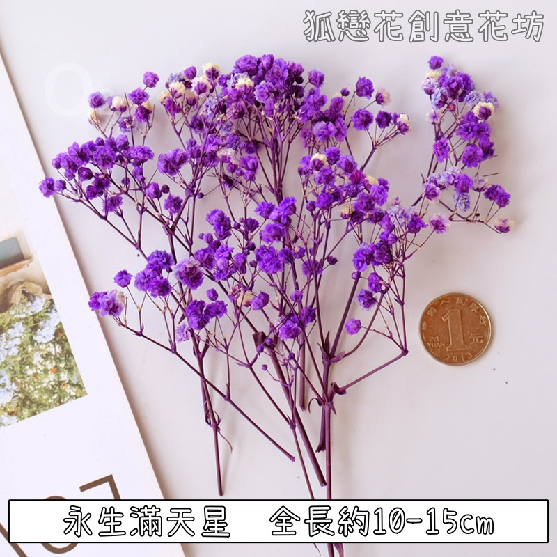 ❰紫色❱短束永生滿天星(1份)