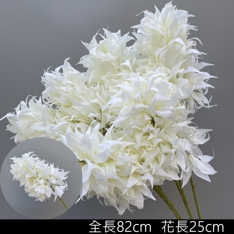 白色波蘿花
