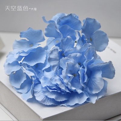 (27片)天空藍