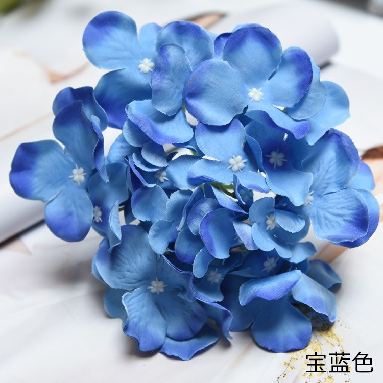 (27片)寶藍