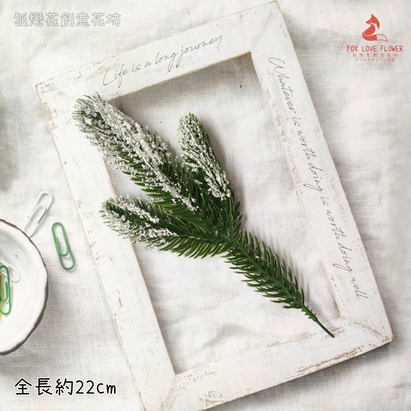 (雪花)諾貝松葉(1枝)