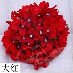 (54片)大紅