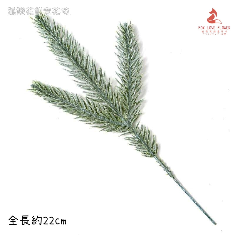 (白霜)諾貝松葉(1枝)