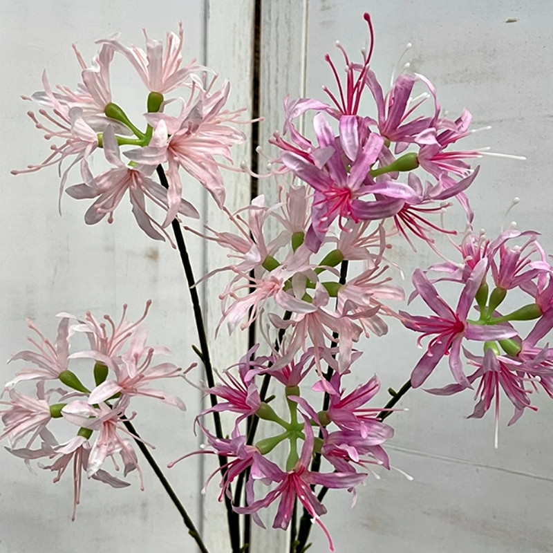 台灣現貨【仿真彼岸花】蔓珠莎華供花拜拜祭祀追思佈置 拍照情境造景 插花素材 多色 花藝材料