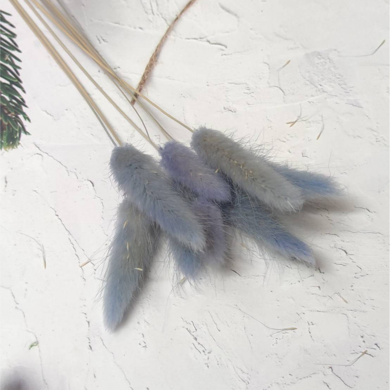 淺紫色