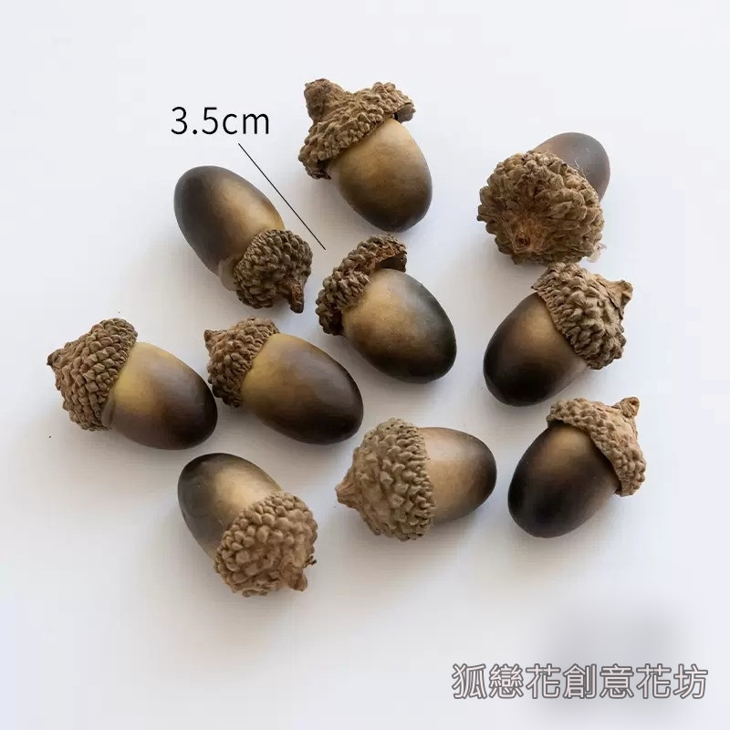 仿真❰深色❱大橡實(1個)