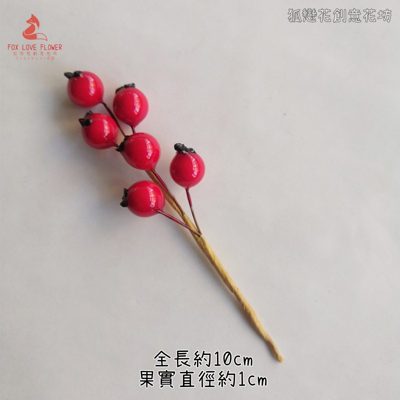 迷你紅色漿果串(2枝)