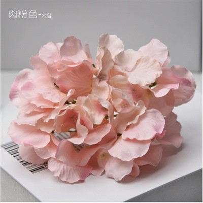 (27片)肉粉