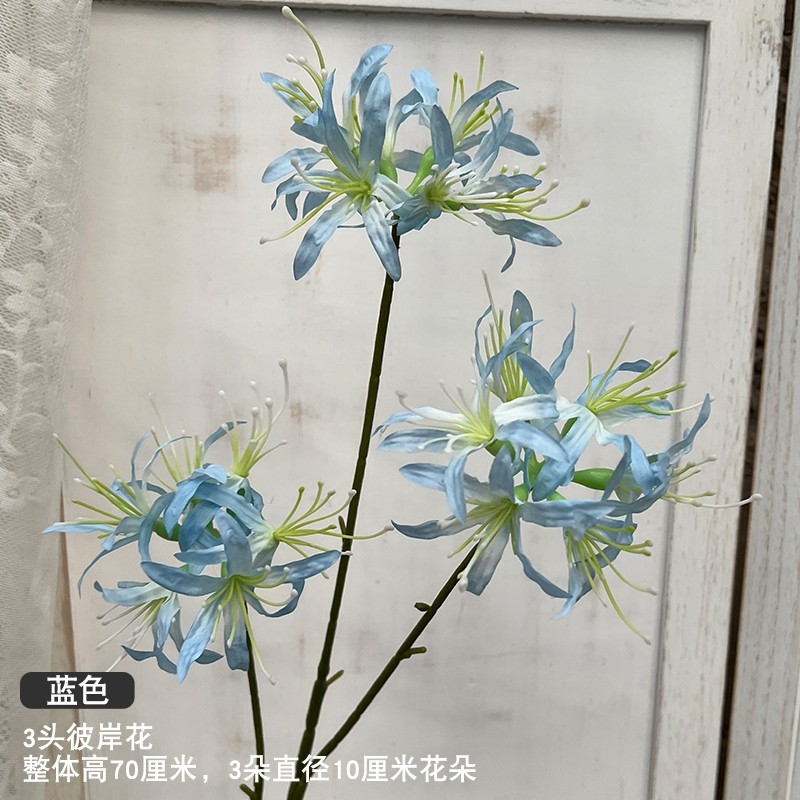 3頭彼岸花(藍色)