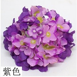 (54片)雙色紫