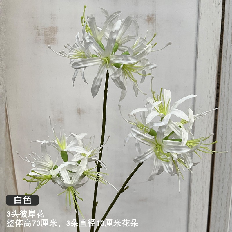 3頭彼岸花(白色)