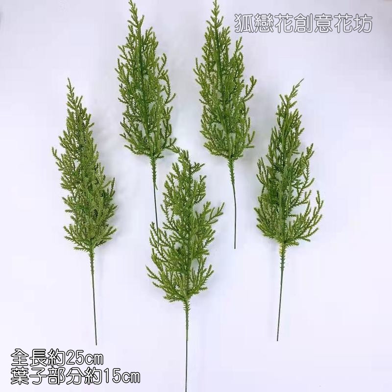 松柏葉(1枝)