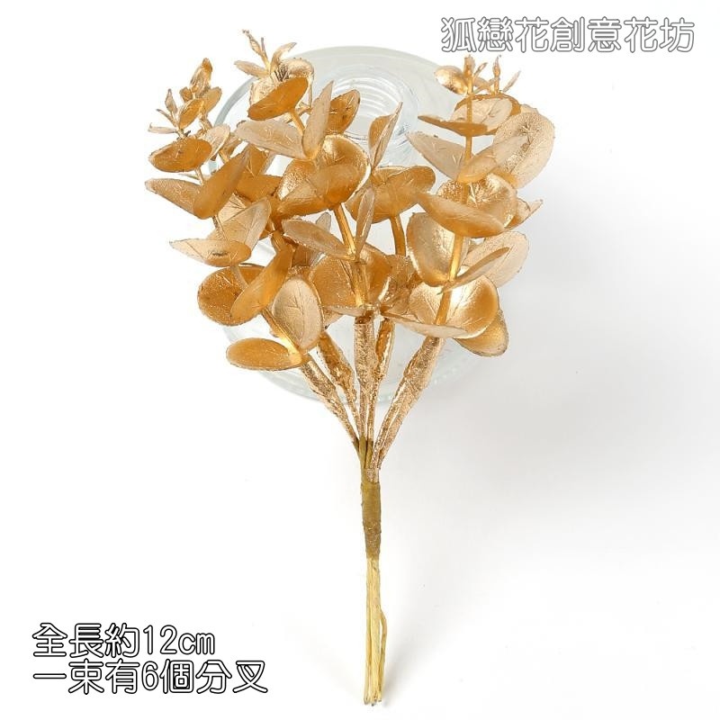 (金漆)6叉小尤加利
