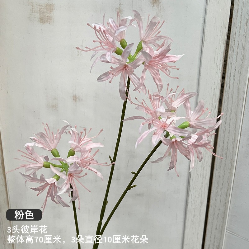 3頭彼岸花(粉色)