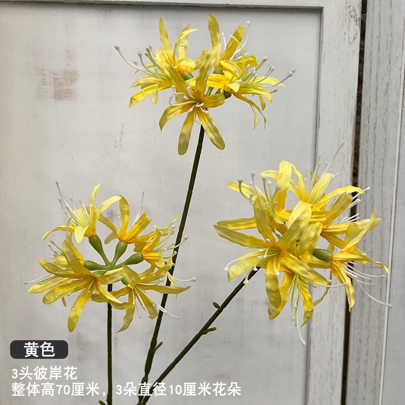3頭彼岸花(黃色)