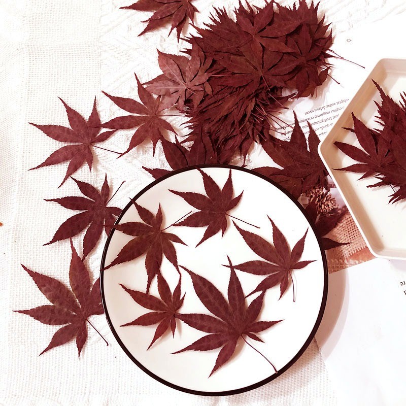 台灣現貨【乾燥葉材銀楓葉銀杏葉】紅黃酒紅綠色系 5片入 花圈藤圈卡片DIY 禮物包裝 聖誕佈置 花藝材料