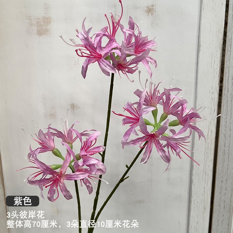 3頭彼岸花(紫色)