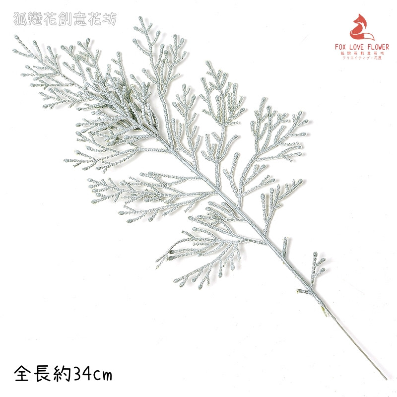 (白霜)扁柏葉(1枝)