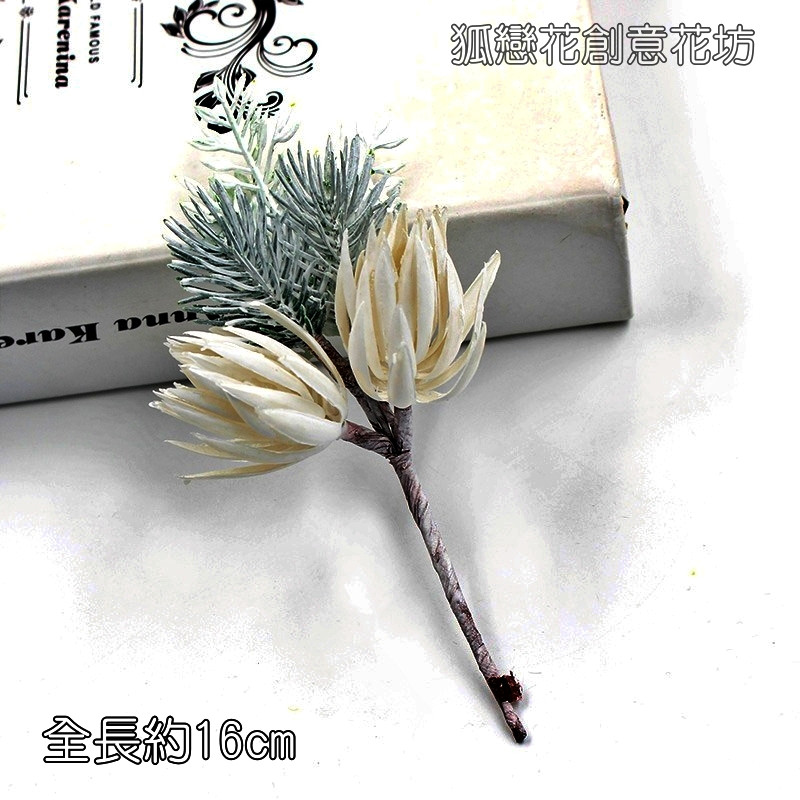銀白雪松針葉(1枝)