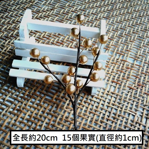 3叉小金果樹(1枝)