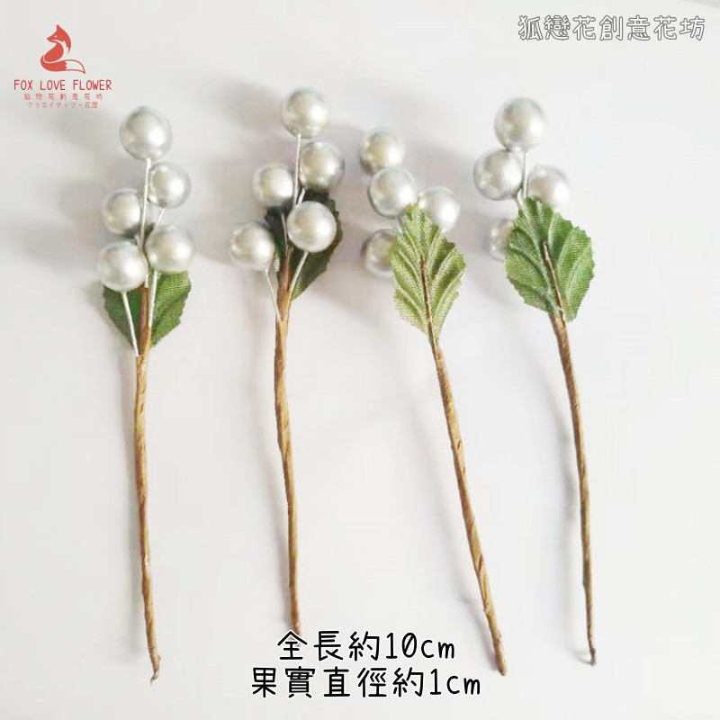 迷你帶葉銀果串(2枝)