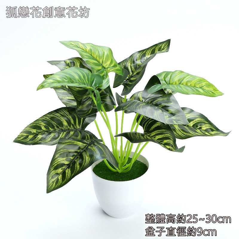 仿真植物盆栽<斑點芋>